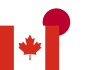 Alternate Text